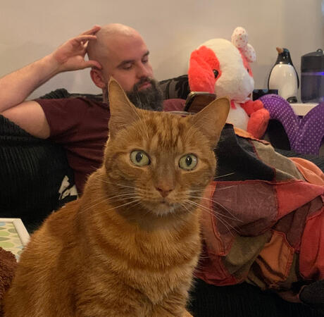 George (a Ginger Tom) An orange tabby cat sits in the foreground while a bald man with a beard sits on a couch in the background. There are stuffed animals and a throw blanket on the couch.
